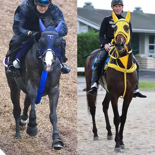 【キングジョージ】日本調教馬初Ｖ狙うマスカレードボールは４番ゲート　カランダガンは７番ゲート　昨年のジャパンＣ１、２着馬が宿命の再戦