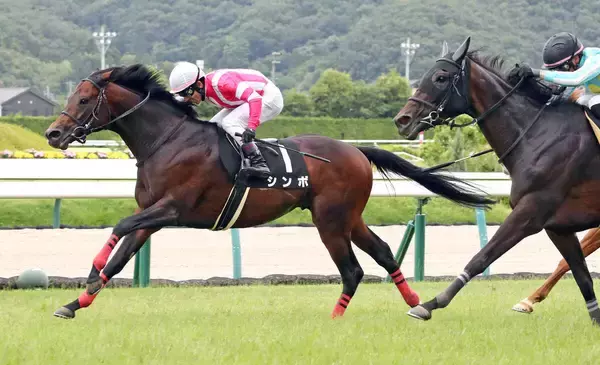 ６年７か月ぶりの重賞制覇「すごすぎる」「絶対買えない」１１番人気９歳馬の衝撃Ｖにネット仰天　盛岡競馬のシンボ