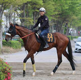 「【注目馬動向】青葉賞２着のタイダルロックは復帰戦の日本海Ｓを回避　 ２０日の１週前追い切りで違和感」の画像1