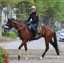 【注目馬動向】青葉賞２着のタイダルロックは復帰戦の日本海Ｓを回避　 ２０日の１週前追い切りで違和感