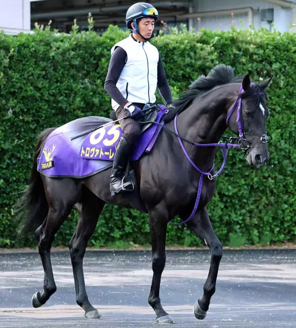 【注目馬動向】トロヴァトーレは富士Ｓから始動　今年は東京新聞杯、エプソムＣを制覇