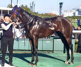「【注目馬動向・２歳】こうやまき賞１着のクールデイトナはシンザン記念で重賞挑戦」の画像1
