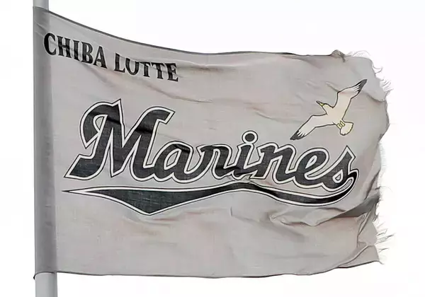 ロッテがスポーツエコシステム推進協議会とパートナーシップを締結　スポーツが持つ社会的価値の可視化など目指し