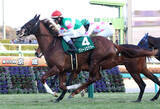 「【注目馬動向】京成杯制したグリーンエナジーは皐月賞が本線」の画像1