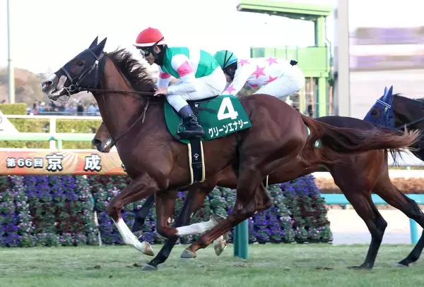 【注目馬動向】京成杯制したグリーンエナジーは皐月賞が本線