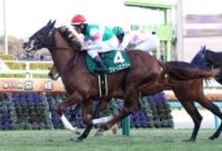 【注目馬動向】京成杯制したグリーンエナジーは皐月賞が本線