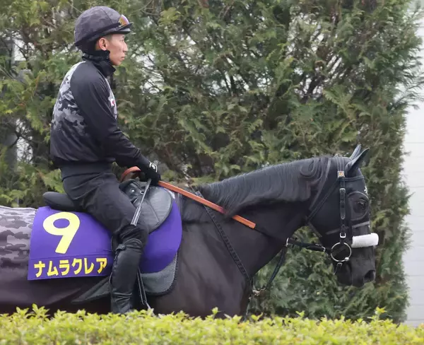 「【高松宮記念】ラストランのナムラクレアは７枠１３番　昨年の勝ち馬サトノレーヴは５枠９番　枠順決定」の画像