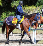 「【福島牝馬Ｓ】リアライズシリウスで皐月賞Ｖを狙う手塚久厩舎　同日の福島牝馬Ｓはカネラフィーナなど２頭出し」の画像1