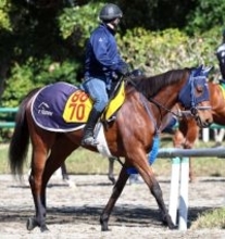 【福島牝馬Ｓ】リアライズシリウスで皐月賞Ｖを狙う手塚久厩舎　同日の福島牝馬Ｓはカネラフィーナなど２頭出し