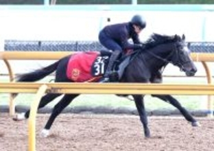 【青葉賞】５・２億円馬サガルマータは福永調教師を背に軽快な走り　「動きの質がよくなった」