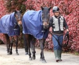 【天皇賞・春】展開のカギを握るミステリーウェイは外めの７枠１３番　陣営「（ハナに）行くならもうちょっと内めの方が…」