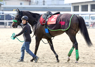 【ヴィクトリアマイル・山下の特注馬】気性が成長したエリカエクスプレスが面白い　武豊騎手の騎乗も魅力
