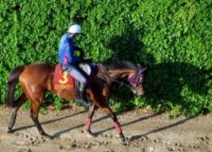 【ヴィクトリアＭ・土曜気配】エンブロイダリーは最終調整でも落ち着き十分　陣営「何も言うことがないぐらいの状態」
