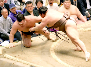 【元大関・琴風の目】千秋楽は、霧島と若隆景の優勝決定戦となる確率が７０％