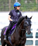 「【宝塚記念】クロワデュノール、史上初の古馬Ｇ１春３冠へ　父キタサンブラック超え偉業だ　」の画像1