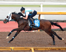 【北九州記念】アンクルクロスはＣＷコースで余裕たっぷりにしまい１１秒０　高橋亮調教師「時計的には良かった」