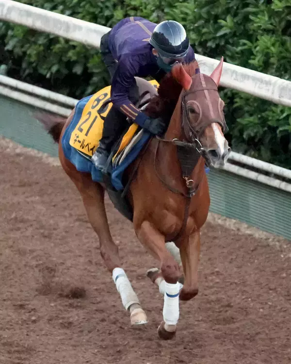 【ＣＢＣ賞・土曜気配】重賞勝ち馬アブキールベイは坂路で活気ある動き　坂口調教師「スムーズなら脚を使ってくれます」