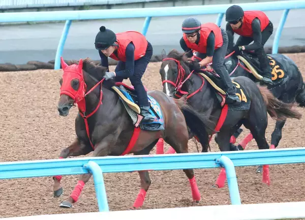 【京成杯ＡＨ】武豊騎手と臨むエコロ“ブルーム”が季節外れの開花宣言へ万全　加藤征調教師も「開花はこれから」と期待