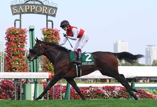 【ＰＯＧ】札幌２歳Ｓ覇者のショウナンガレオン　３連勝へ美浦で調整中　加藤士調教師「もう少しふっくらしてほしい」