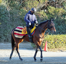 【ターコイズＳ】ウンブライルは牝馬限定Ｇ３でチャンス十分　陣営「心身ともにいい状態」