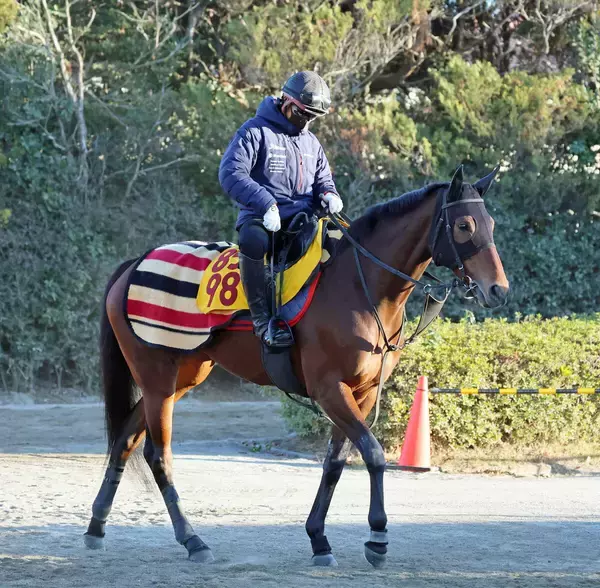 【ターコイズＳ】ウンブライルは牝馬限定Ｇ３でチャンス十分　陣営「心身ともにいい状態」