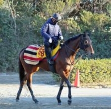 【ターコイズＳ】ウンブライルは牝馬限定Ｇ３でチャンス十分　陣営「心身ともにいい状態」