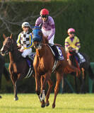 「【ＰＯＧ】素質馬アルバンヌは焦らずに成長を促す方針　田中博調教師「クラシックうんぬんではなく」」の画像1