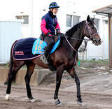 「２３年中山金杯勝ち馬のラーグルフが登録抹消　今後は千葉県で乗馬になる予定」の画像1