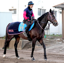 ２３年中山金杯勝ち馬のラーグルフが登録抹消　今後は千葉県で乗馬になる予定