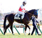 「【東京５Ｒ・３歳新馬】１億９０００万円の期待馬スワーヴマルスは３着　戸崎圭太騎手「まだ先の馬」」の画像1