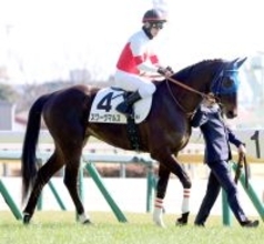 【東京５Ｒ・３歳新馬】１億９０００万円の期待馬スワーヴマルスは３着　戸崎圭太騎手「まだ先の馬」