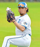 「【日本ハム】沢村賞右腕・伊藤大海が約２００人のファンに即席サイン会　「韓流スターになった気分」」の画像1