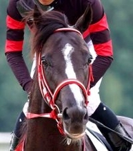 【小倉４Ｒ・４歳上障害未勝利】２１年セレクトセール４億１０００万円のホウオウプロサンゲが障害の最高額勝利記録を更新