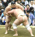 「東京・府中で春巡業開催　稽古の関取最多は幕内・王鵬の１９番　ちびっ子相撲と握手会も」の画像1