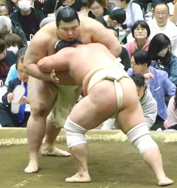 東京・府中で春巡業開催　稽古の関取最多は幕内・王鵬の１９番　ちびっ子相撲と握手会も