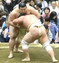 東京・府中で春巡業開催　稽古の関取最多は幕内・王鵬の１９番　ちびっ子相撲と握手会も