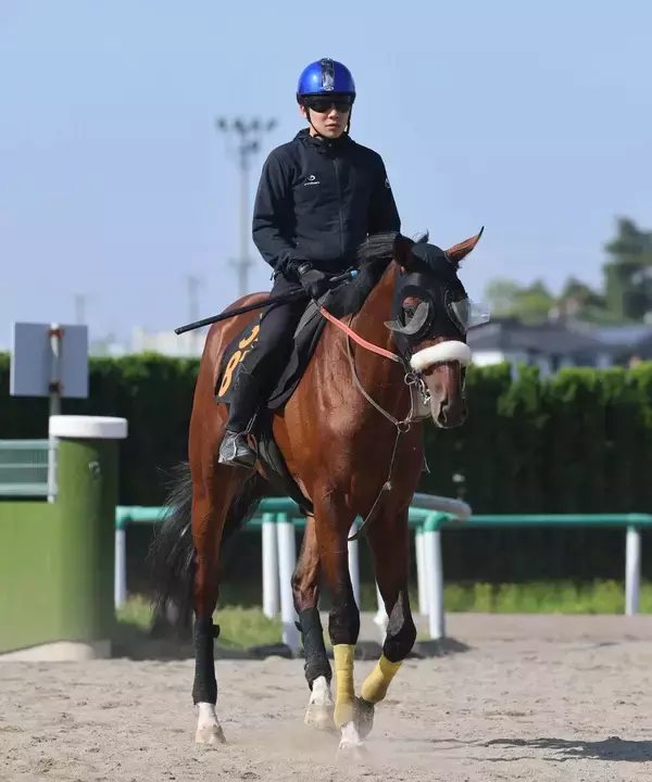 【青葉賞】タイダルロック２着でダービー優先出走権獲得　しぶとい末脚引き出した三浦皇成騎手「ここを使って上がってくれそう」