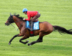 【函館スプリントＳ】エーティーマクフィは馬なりのまま単走でスムーズな加速　富田暁騎手「今日もいい動きでした」