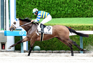 「叫び甲斐があるお名前」「ほんまに行ったやん」快勝した珍名馬にネット反応　阪神７Ｒのイッタレイッタレ