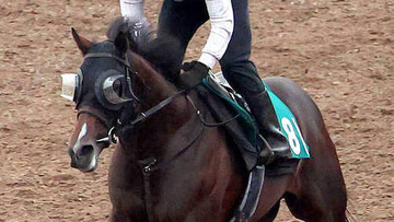 【注目馬動向】小倉で新馬Ｖのエルドボルグは東京スポーツ杯２歳Ｓで復帰　同じ父持つダービー馬クロワデュノールの道たどる