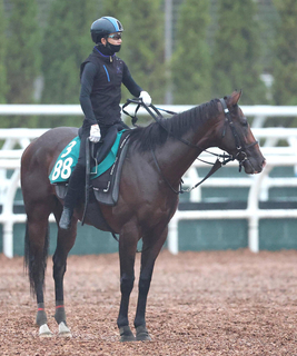 【今週のトク注新馬】４・１億円馬ジーティーギャングが満を持してデビュー　福永調教師「能力があるのは間違いない」