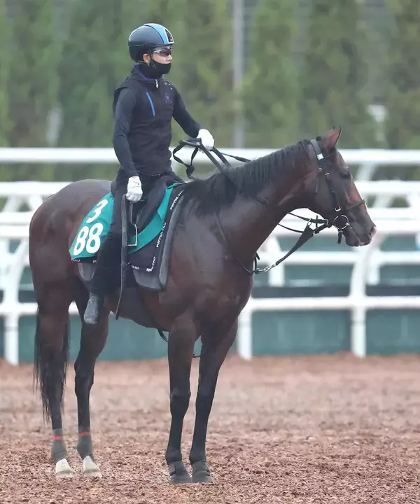 【今週のトク注新馬】４・１億円馬ジーティーギャングが満を持してデビュー　福永調教師「能力があるのは間違いない」
