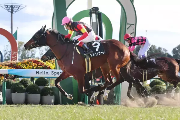 【京都９Ｒ・河津桜賞】ジョバンニの半妹ソルパッサーレが差し切りＶ　浜中俊騎手「しぶとく脚を使ってくれた」