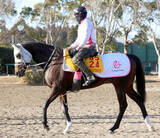 「【クイーン賞】アピーリングルックは４着で重賞連勝ならず　大野拓弥騎手「勝負どころで動かされる形になった」」の画像1