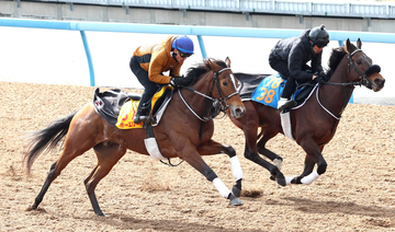 【ダイヤモンドＳ】長距離重賞連勝へホーエリートは戸崎圭太騎手背に先着　田島調教師「ジョッキーはいい感じと」