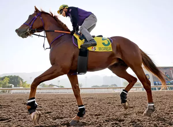 【注目馬動向】中東情勢の影響を受けウインカーネリアンはドバイ遠征中止　高松宮記念へ