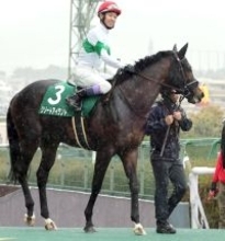 【チャーチルダウンズＣ】「エキサイトしちゃって…」武豊騎手もお手上げ　４番人気リゾートアイランドは９着