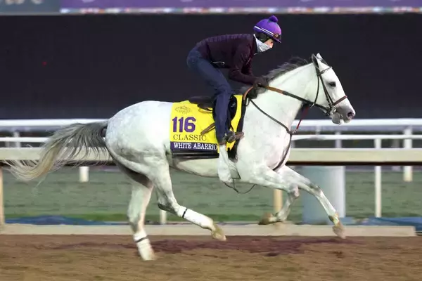 「えっ負けたん！」「こんなあっさり...」米年度代表馬が今季初戦“伝説のＧ２”でまさかの黒星　ネットは騒然