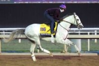 「えっ負けたん！」「こんなあっさり...」米年度代表馬が今季初戦“伝説のＧ２”でまさかの黒星　ネットは騒然