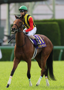 【注目馬動向】桜花賞３着のジッピーチューンは右前肢の剥離骨折が判明　社台グループオーナーズが発表